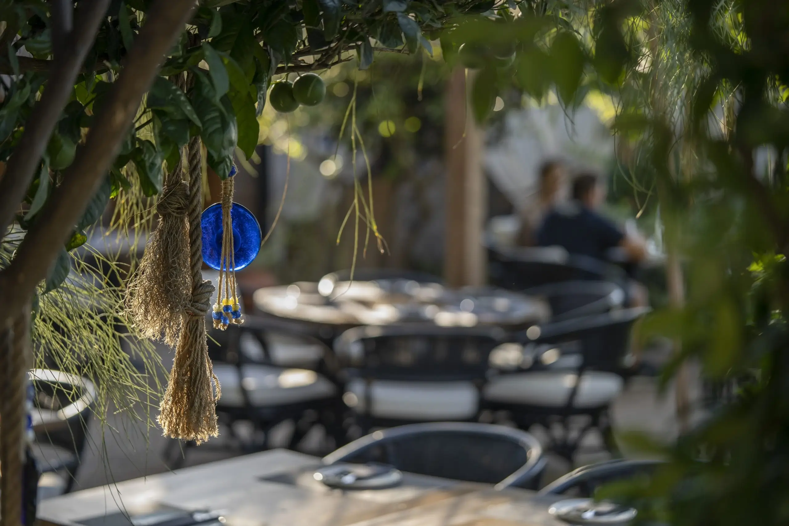 A celebration dinner laid out beneath the vines at Mariposa, Theologos, Rhodes